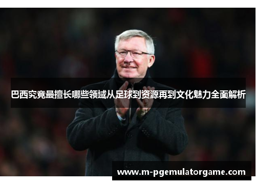 巴西究竟最擅长哪些领域从足球到资源再到文化魅力全面解析