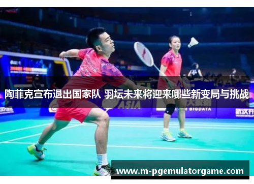 陶菲克宣布退出国家队 羽坛未来将迎来哪些新变局与挑战