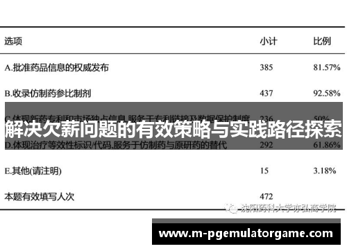 解决欠薪问题的有效策略与实践路径探索