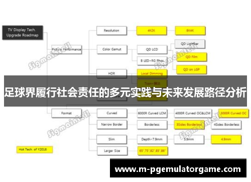 足球界履行社会责任的多元实践与未来发展路径分析