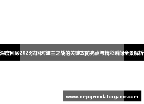 深度回顾2023法国对波兰之战的关键攻防亮点与精彩瞬间全景解析