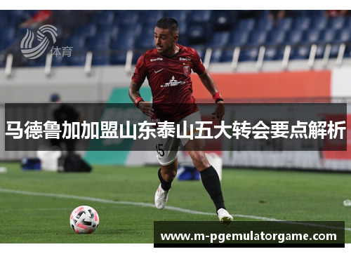 马德鲁加加盟山东泰山五大转会要点解析